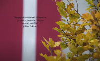 Akcija “Padod dzejoli!”